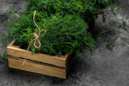 Fresh dill close up on wooden box on dark background, preparation for freezing serving size organic healthy ething natural product portion. place for text.の写真素材
