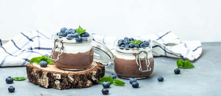 Chocolate panna cotta with blueberries. Chocolate pudding and greek yogurt parfait. Long banner format.の写真素材