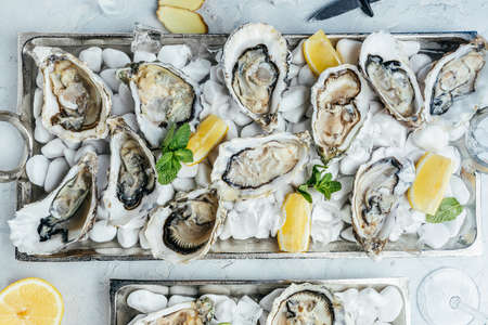 Fresh oysters with lemon and ice. Restaurant delicacy. oyster dish. Oyster dinner with champagne in...