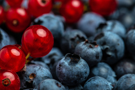 close up, blueberry and red currant background, place for text, top view.
