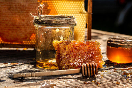 Macro photo of a bee hive on a honeycomb. Bees produce fresh, healthy, honey. Honey background. Beekeeping concept. Long banner format.の写真素材