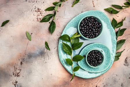 Superfood MAQUI BERRY. Superfoods antioxidant of indian mapuche, Chile. Bowl of fresh maqui berry and maqui berry tree branch, Long banner format. top view,の写真素材