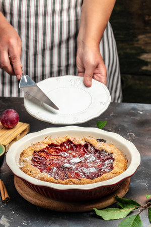 plum cake, powdered sugar is sprinkled on the cake Culinary, cooking, bakery concept. banner, menu, recipe place for text,の写真素材