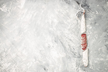 Sausage salami with noble mold cut in slices on a light background. banner, menu, recipe place for text, top view.の写真素材