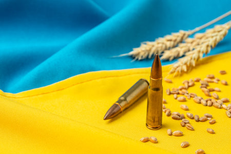 flag of Ukraine with wheat spikelets. stop the war. Concept of food supply crisis and global food scarcity. place for text, top view.の写真素材