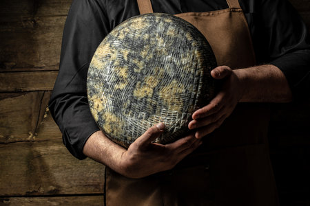 hands holding wheel hard cheese on a dark background, cheese producer, place for text,の写真素材