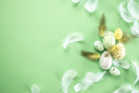 easter decorations feathers easter eggs on pastel green background.の写真素材