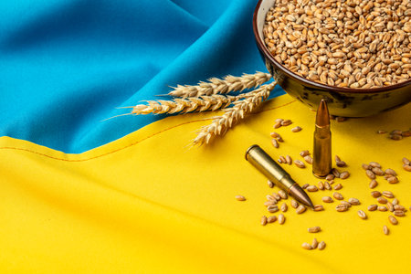 Bullets and Grain on yellow blue Ukrainian state flag background. Concept of food supply crisis and global food scarcity. place for text, top viewの写真素材