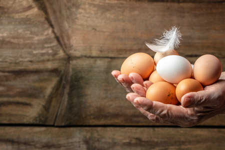A woman takes chicken eggs from the nest. Concept of agriculture, bio and eco farming, bio food products. place for text.の写真素材