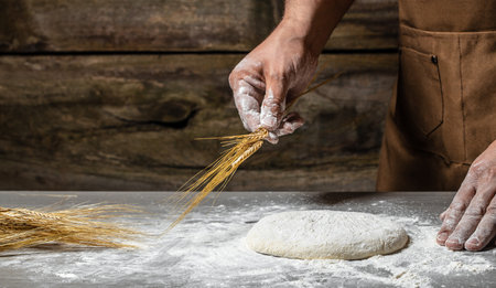 yeast dough for bread or pizza on a floured surface, with flour splash. Cooking bread. Kneading the Dough,の写真素材