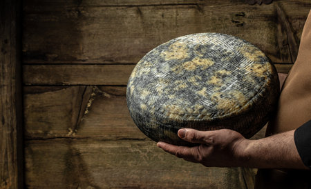 cheesemaker mele hands holding wheel hard cheese,