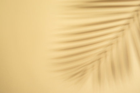natural palm shadows. Floral silhouette on beige background.