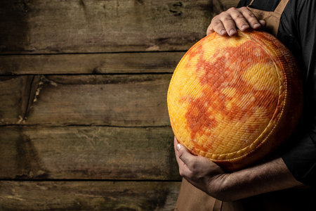 cheesemaker mele hands holding wheel hard cheese,の写真素材