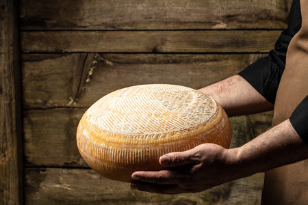 hands holding wheel hard cheese on a dark background, cheese producer, place for text,の写真素材