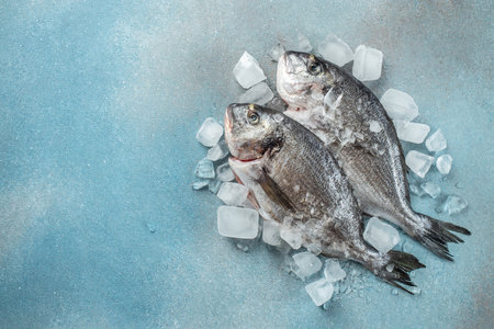 Raw fresh dorado or sea bream on ice cubes on blue concrete background. place for text, top view.の写真素材