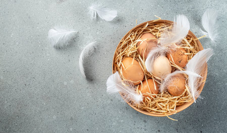 raw brown eggs and white eggs with chicken feathers. Concept of agriculture, bio and eco farming,...