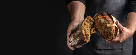 Male hands breaking freshly baked bread, Long banner format.の写真素材