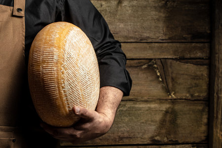 A head of hard cheese in man's cheesemaker hands. delicious dairy products. cheese maasdam with big holes,の写真素材