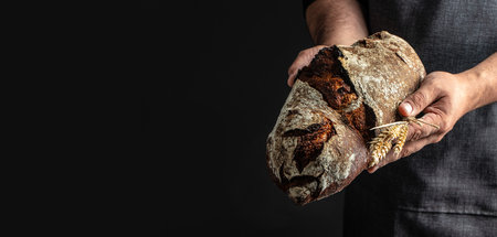 Men's hands hold bread on a dark background, Long banner format,