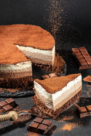 slice of tasty homemade three chocolate cake on a dark background, place for text,の写真素材