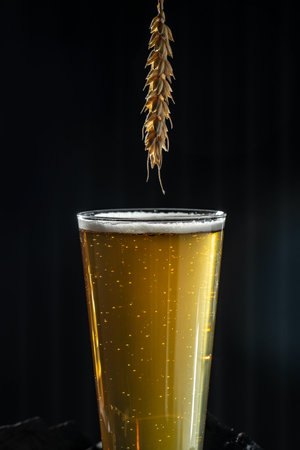 beer and wheat ears. vertical image. place for text.の写真素材