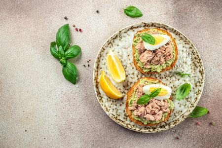 Open sandwiches with canned tuna, boiled egg, avocado for snack or lunch. banner, menu, recipe place for text, top view.の写真素材