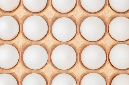 Chicken eggs white in a cardboard package tray. top view.