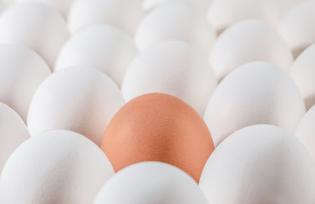 Brown egg surrounded by white eggs. Individuality and difference concept.の写真素材