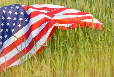 The American flag gently drapes over a wheat field, symbolizing unity, agriculture, and national...