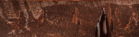Macro close-up of dark chocolate texture with rough cocoa surface, rich brown tones and natural...