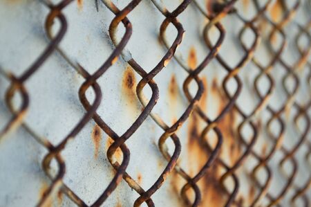 Rusty rabitz against the  of a rusty steel wall.の写真素材