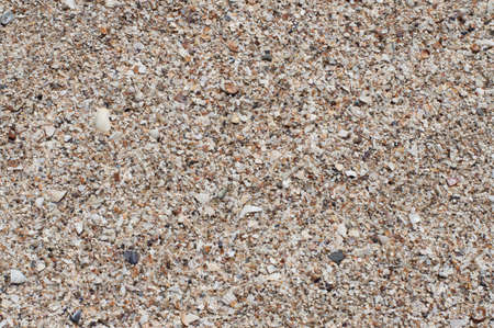 Seashore from broken shells in daylight, top view.の写真素材