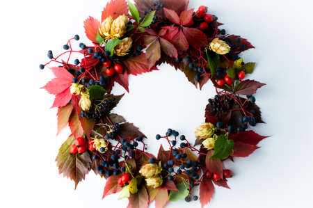 Autumn, bright wreath of leaves and berries on a white background, top view. Postcard with space for writing text.の写真素材