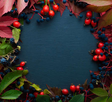 Autumn bright background with leaves and berries of rose hips and wild grapes with space in the middle for writing text.の写真素材
