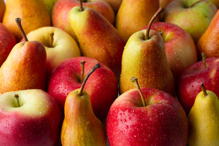 Many apples and pears of yellow-red color are densely arranged in rows.Fruit background.の写真素材