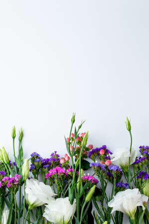 Delicate flowers on a white background with space for writing text.の写真素材