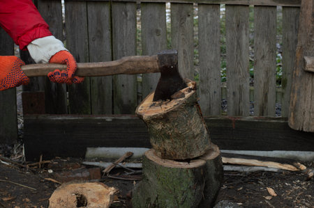 A man in cloudy weather is chopping a log with an old ax. Village life.
