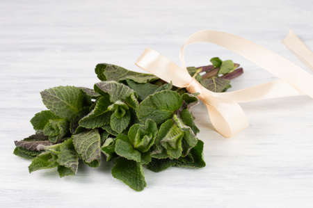 A bunch of fresh mint tied with a ribbon on a light background.の写真素材