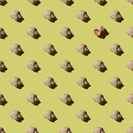 Seamless pattern with seashells on a yellow background.One shell is deployed.Summer concept.の写真素材