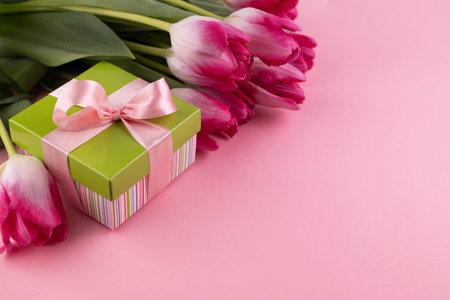 Blurred image of a gift box, pink tulips on a pink background with space for writing text.Gift card.の写真素材