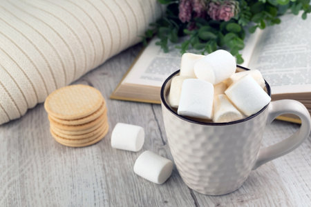Cup of cocoa with marshmallows, book and warm plaid on a wooden background. autumn mood concept. selective focus. home. Time to relax.の写真素材
