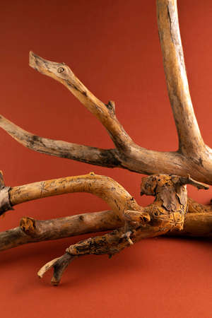 Dry branch of a tree of an unusual shape on a brown background. natural background.