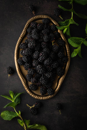 Blackberries on a metal tray and mint branches on a dark table.Still life concept.の写真素材