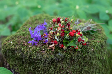 Blurred image of a bouquet of wild strawberries and bluebells on an old stump. summer background.の写真素材