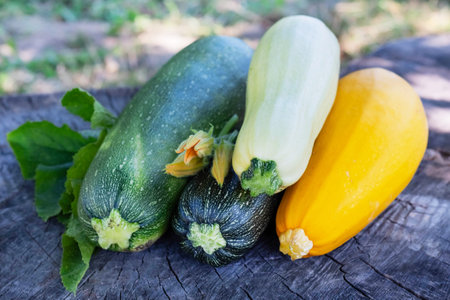 Courgettes and zucchini on a dark wooden background.の写真素材