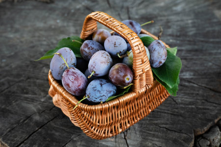 Basket with plums on a dark wooden background.の写真素材