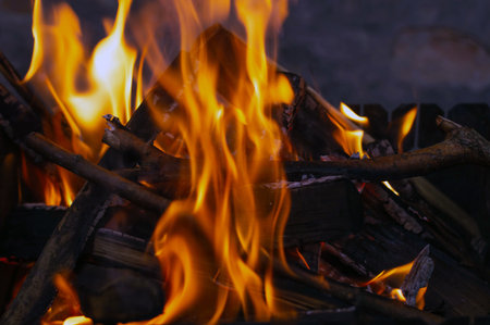 Blurred image of burning branches in the evening.の写真素材