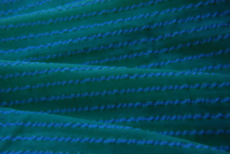 Folds of green fabric with white stripes.