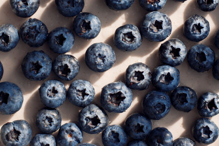 Top down view of ripe organic blueberries arranged on a plate.の写真素材