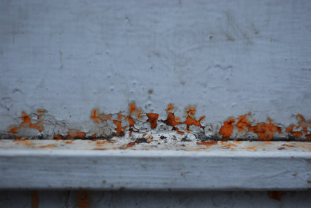 Rusty metal background with peeling paint. Old rusty metal background with peeling paint.